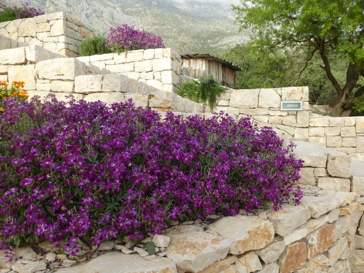 Živogošće Kuca Za Odmor Viola 빌라 외부 사진